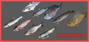 maya fish animations