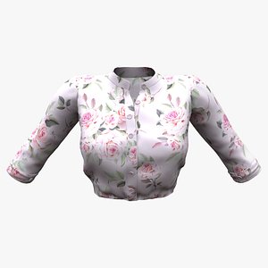 Standing Collar Korean Flower Prints Tucked In Shirt 3D model