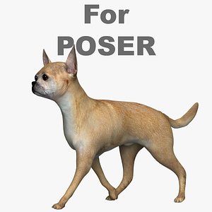 Chihuahua Poser 3D