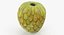 Fruits Collection 10