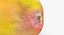 Fruits Collection 10