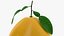 Fruits Collection 10