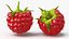 Fruits Collection 10