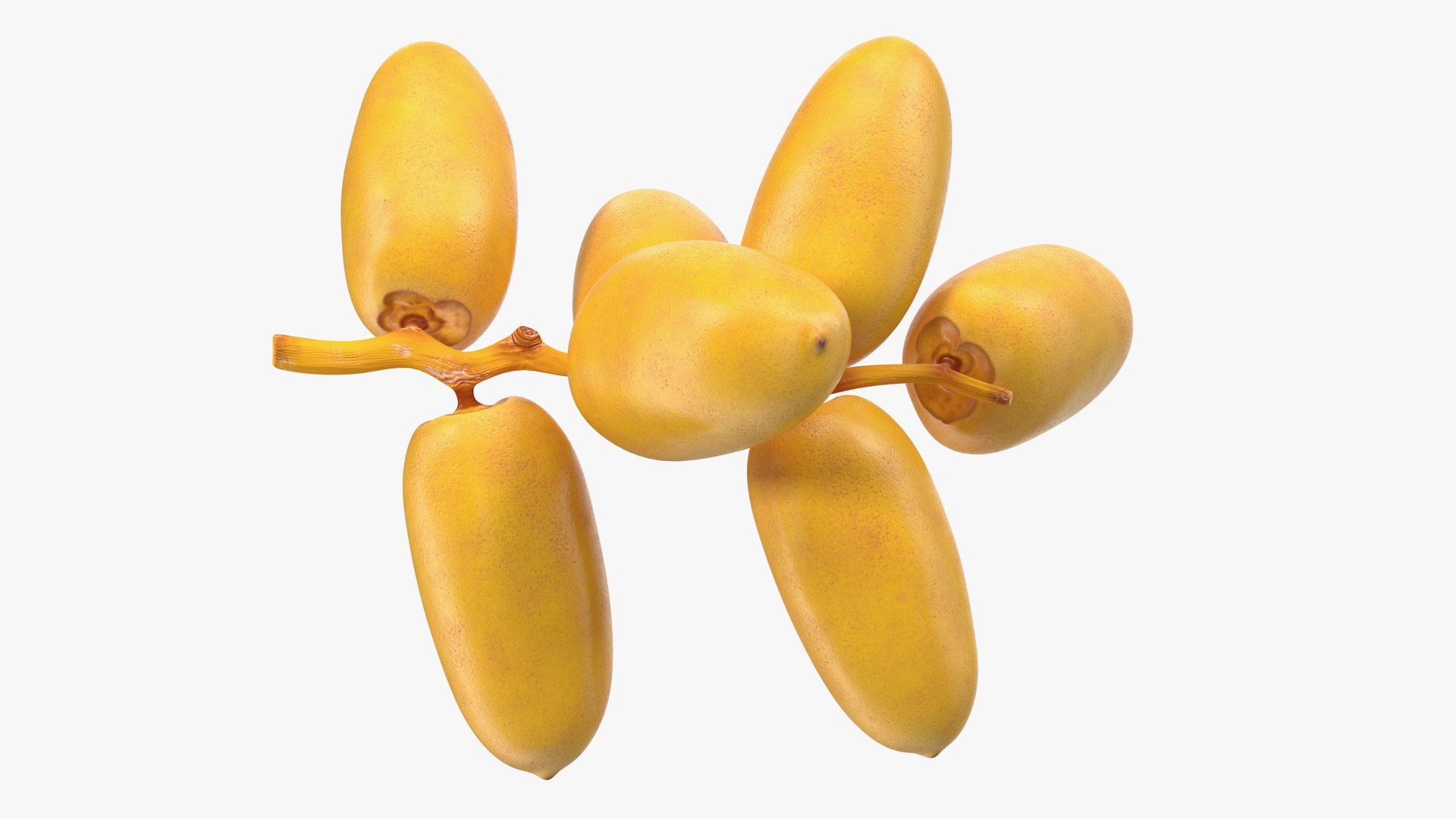 Fruits Collection 10 3D model https://p.turbosquid.com/ts-thumb/4R/MoBNWA/R5/fruits_collection_10_013/jpg/1770979901/1920x1080/fit_q87/e8c157aefb168d5a1b46f2e6b8417f6d8cd7228d/fruits_collection_10_013.jpg