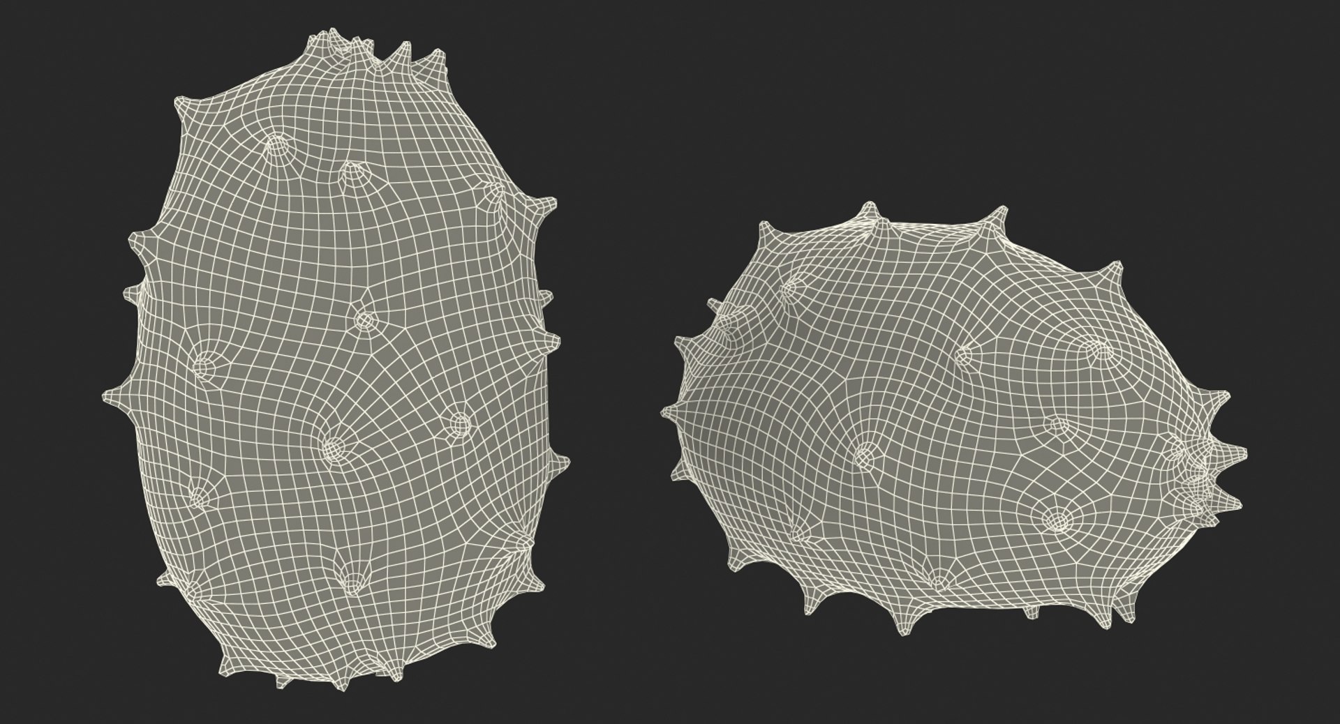 Fruits Collection 10 3D model https://p.turbosquid.com/ts-thumb/4R/MoBNWA/cM/fruits_collection_10_026/jpg/1770979908/1920x1080/fit_q87/8c0eb3c0018bbaa4361e7709b67401bb6d1258c3/fruits_collection_10_026.jpg