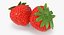 Fruits Collection 10