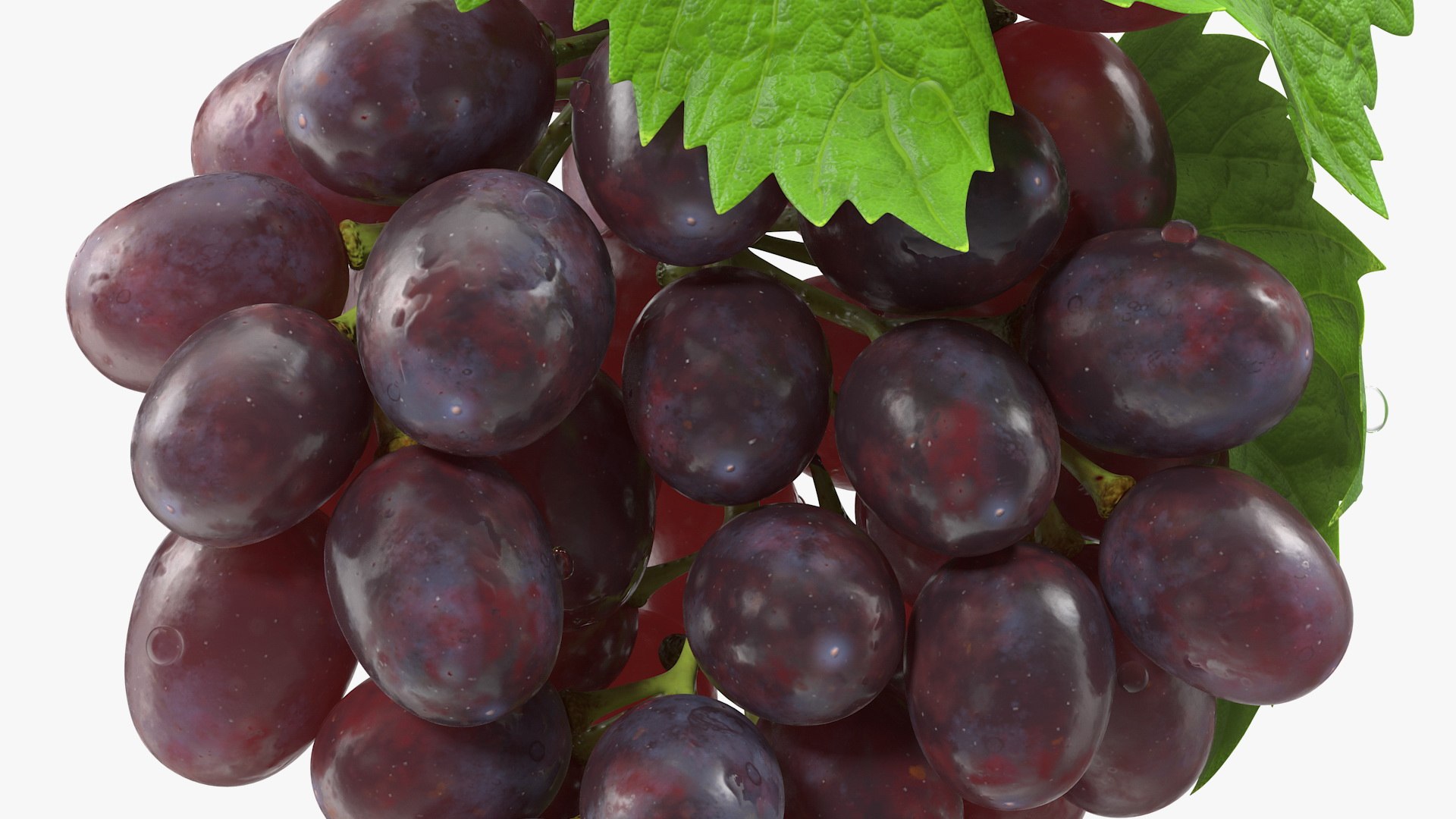 Fruits Collection 10 3D model https://p.turbosquid.com/ts-thumb/4R/MoBNWA/hS/fruits_collection_10_011/jpg/1770979901/1920x1080/fit_q87/4a4553fbb4f89a32cf1c8f5791143d36cc96203d/fruits_collection_10_011.jpg