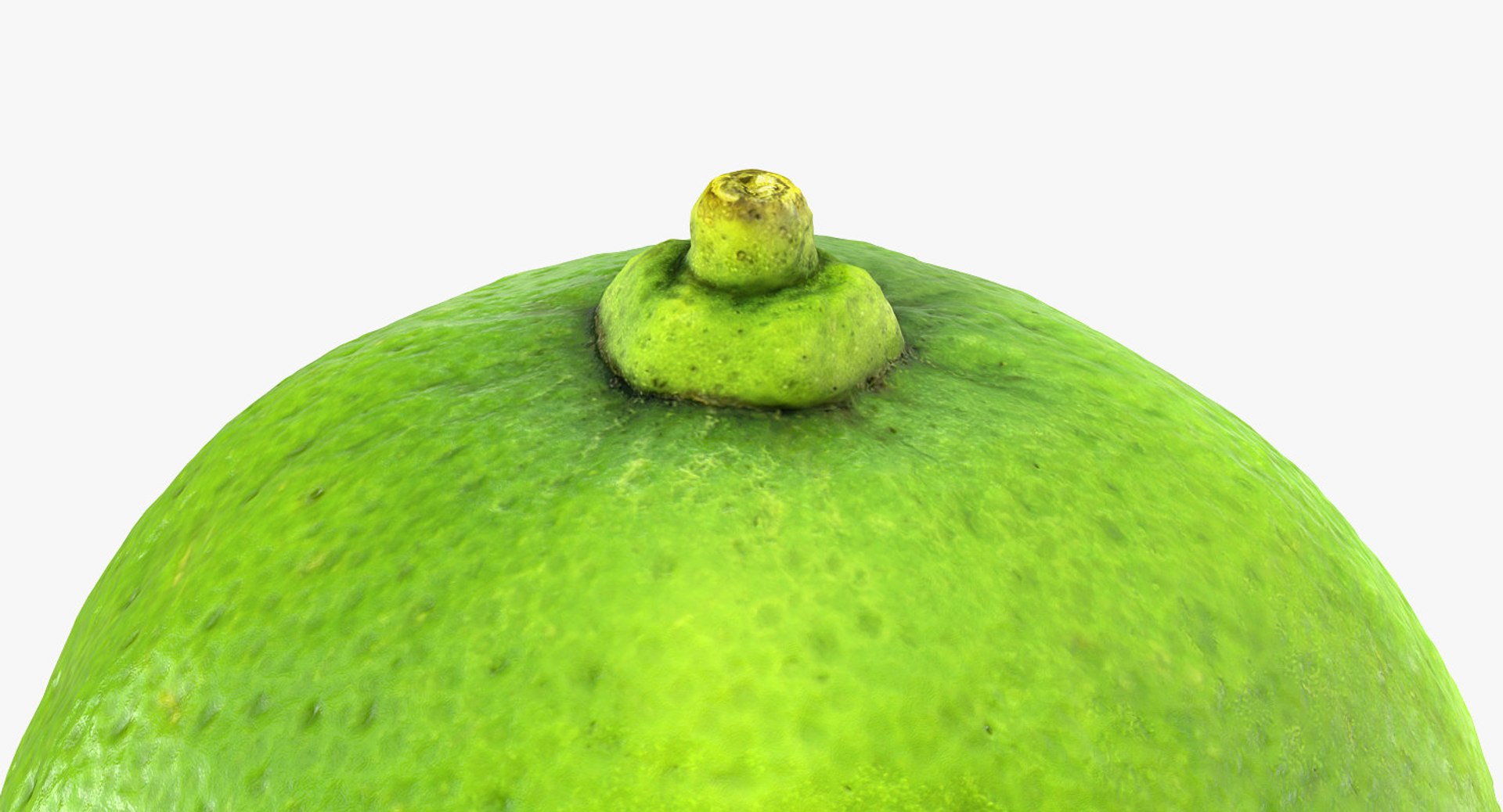 Fruits Collection 10 3D model https://p.turbosquid.com/ts-thumb/4R/MoBNWA/ig/fruits_collection_10_064/jpg/1770979927/1920x1080/fit_q87/822e10647b0dc1a4f07fff10ed35f261a8ed8433/fruits_collection_10_064.jpg