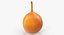 Fruits Collection 10