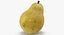 Fruits Collection 10