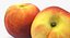 Fruits Collection 10