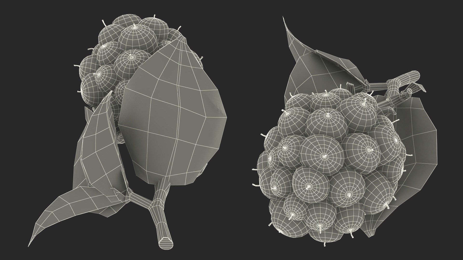 Fruits Collection 10 3D model https://p.turbosquid.com/ts-thumb/4R/MoBNWA/zv/fruits_collection_10_016/jpg/1770979904/1920x1080/fit_q87/d70d3652eb71c586921a4ef8c198c7cfcdd72aeb/fruits_collection_10_016.jpg