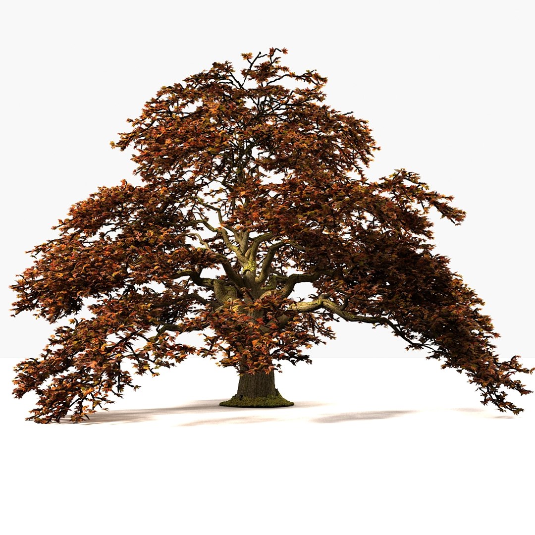 3d plant fall
