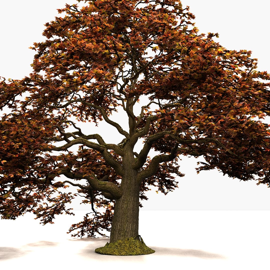 3d plant fall