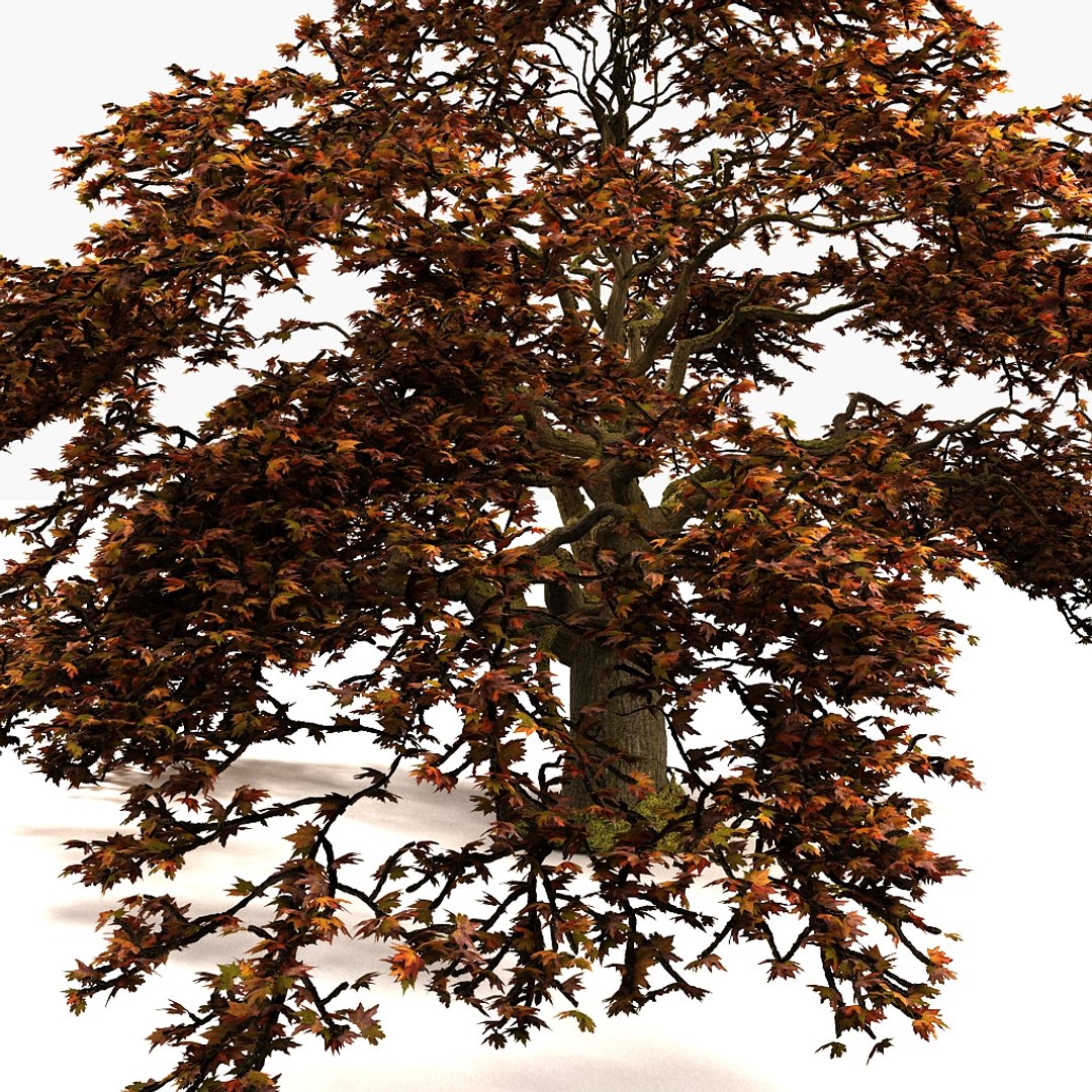 3d plant fall