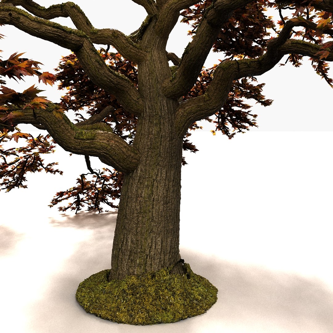 3d plant fall
