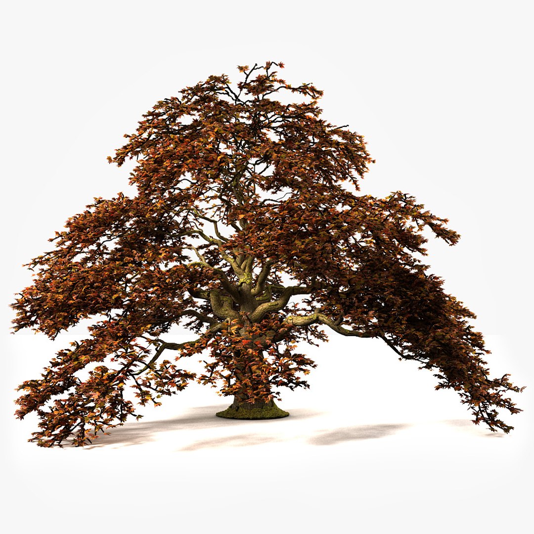 3d plant fall