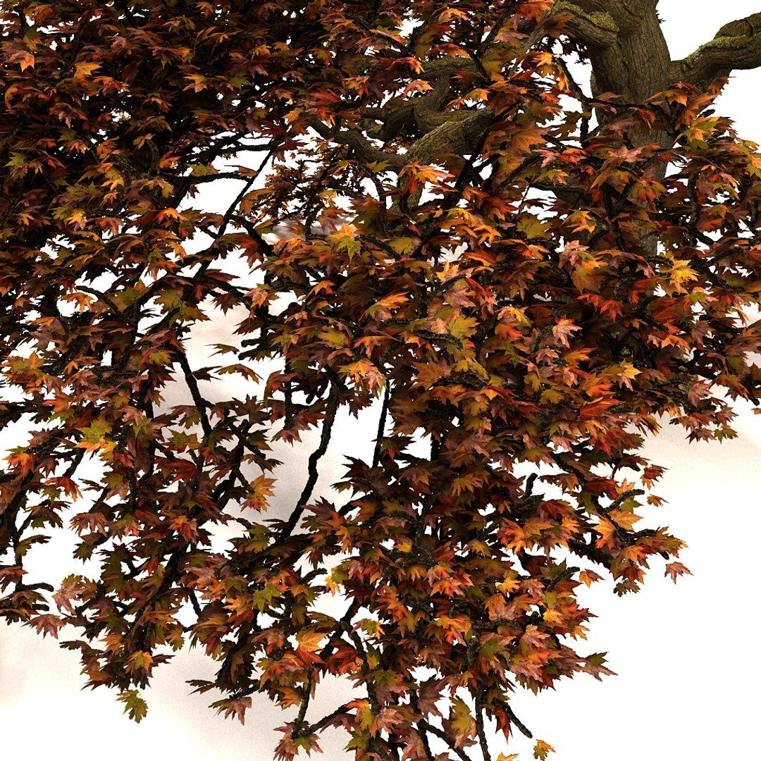 3d plant fall