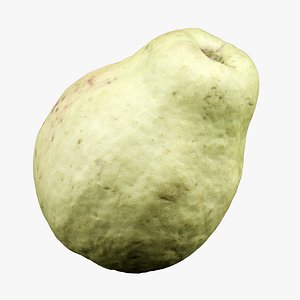 Guava 3D