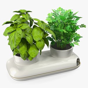 3D model Herbs in Sagaform Double Pot White