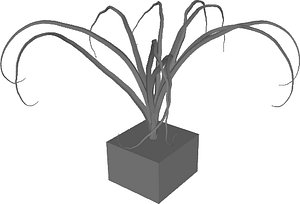 old tree 3D model