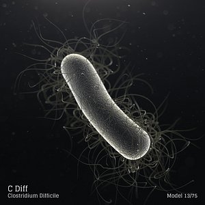 3D microbes bacteria cells model