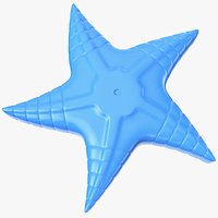 Sand Star Toy