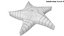 Sand Star Toy