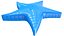 Sand Star Toy