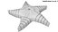 Sand Star Toy