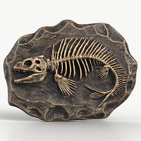 Prehistoric Fish Skeleton Fossil 026 Textured