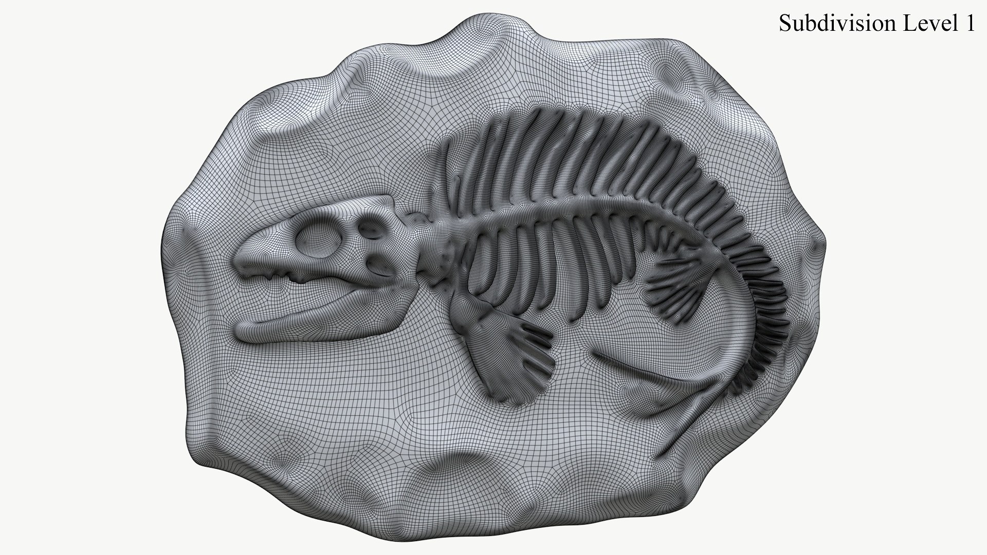 Prehistoric Fish Skeleton Fossil 026 Textured 3D model https://p.turbosquid.com/ts-thumb/4S/7xDFzp/jd/2_prehistoricfishskeletonfossil026textured_camera_1_sds1_wire/jpg/1731054349/1920x1080/fit_q87/f27bb035da72219f3512b4498216c5b282a9075d/2_prehistoricfishskeletonfossil026textured_camera_1_sds1_wire.jpg