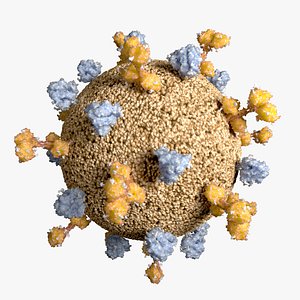 Nipahvirus - Envelope with surface proteins