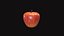 Manzana medieval