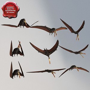 3d model pterosaur static poses