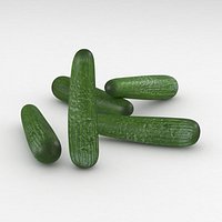 Vegetable Cucumber