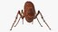 Flea Insect Rigged for Maya