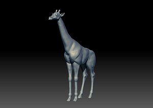 3D model jiraffe