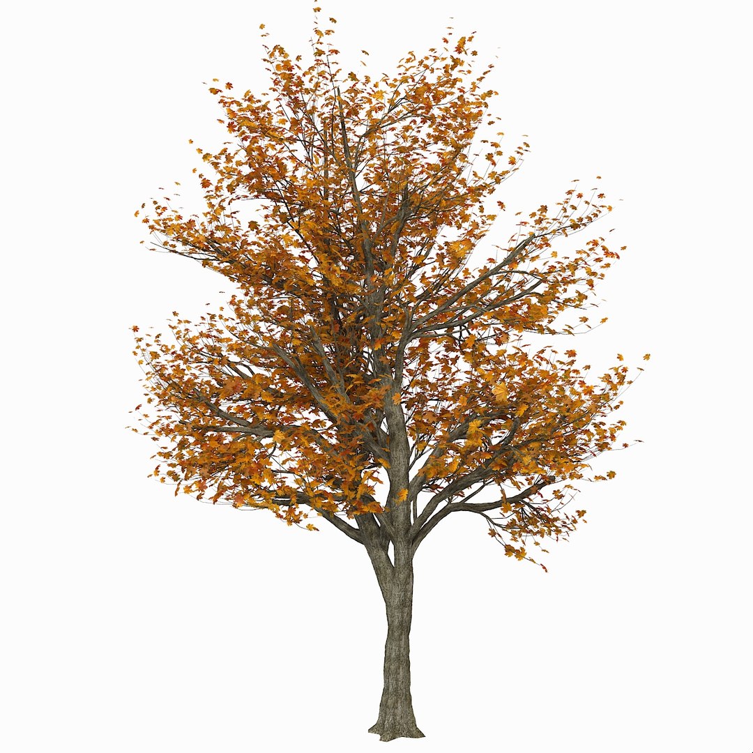 3d plant fall model