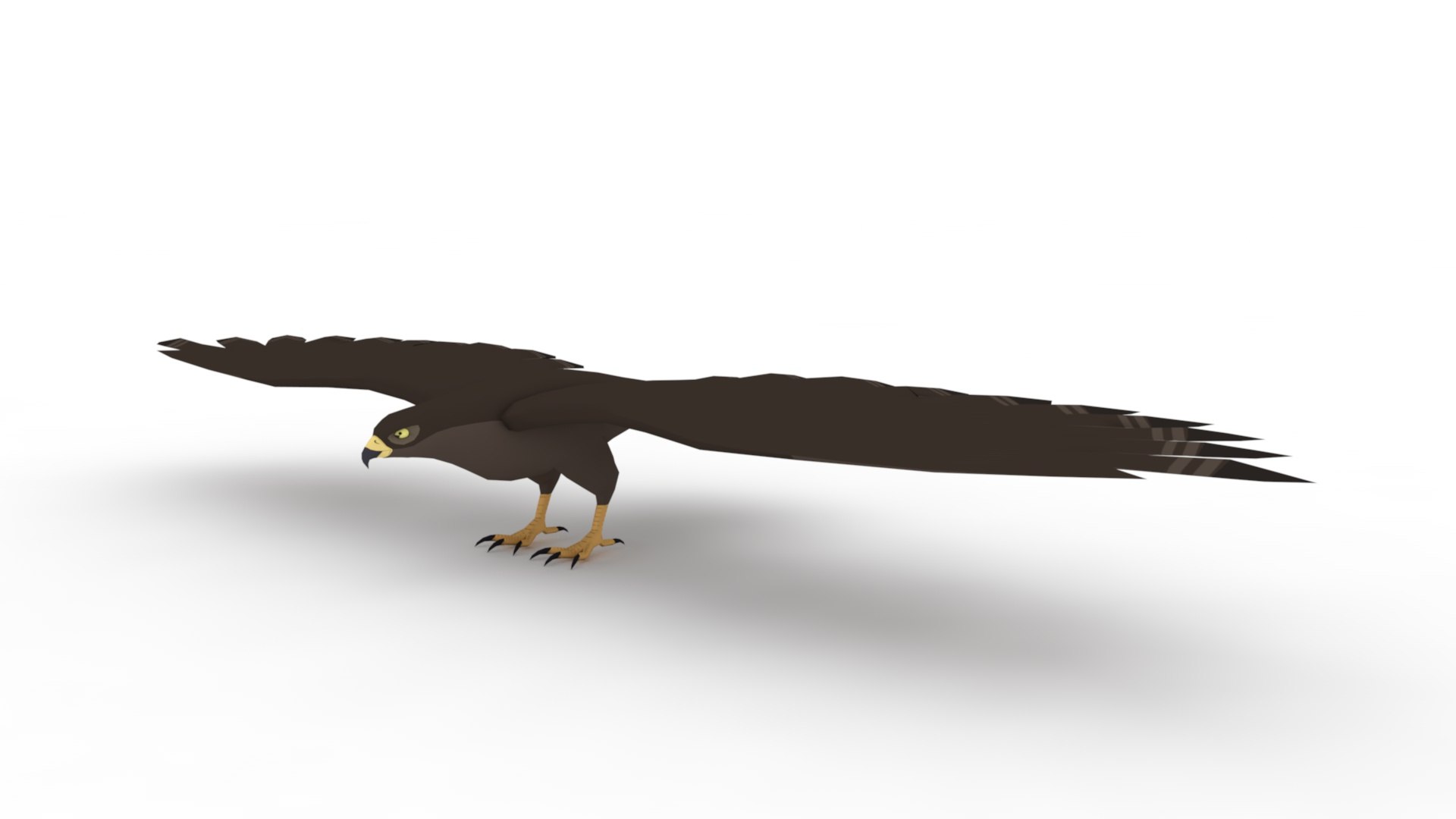 3D Hawk Model - TurboSquid 2251230