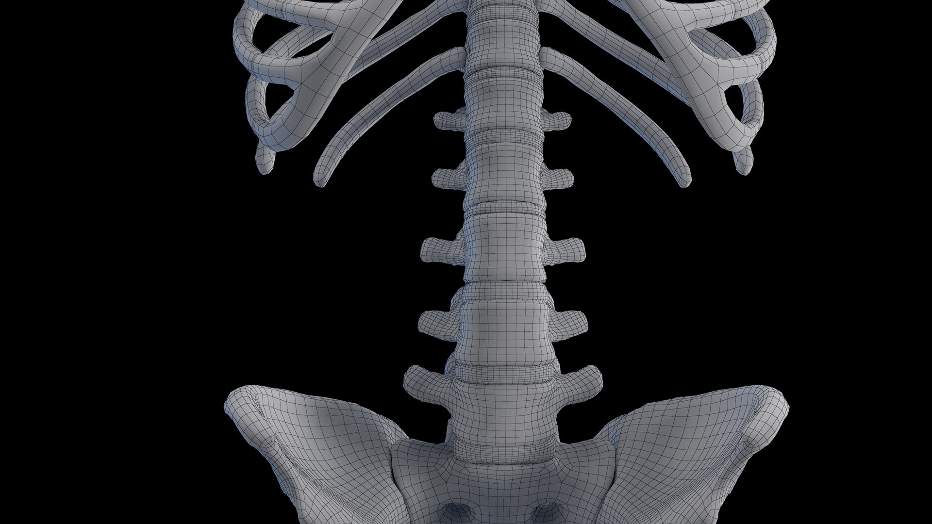 Human Male Body Skeleton and Organs Static 3D https://p.turbosquid.com/ts-thumb/4T/H8VRUv/6c/male_skeleton_wire0014/jpg/1680852491/1920x1080/fit_q87/e82e23648598baa75d4591436d8235c3e19ae45d/male_skeleton_wire0014.jpg
