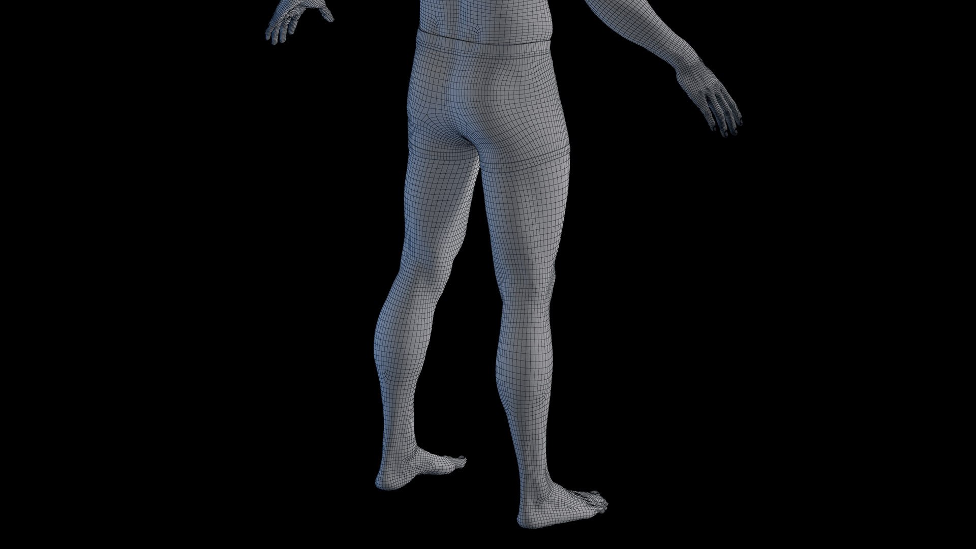 Human Male Body Skeleton and Organs Static 3D https://p.turbosquid.com/ts-thumb/4T/H8VRUv/e9/male_body_wire0007/jpg/1680852465/1920x1080/fit_q87/576e6f31d88e71abec359f634fe93682b690fb46/male_body_wire0007.jpg