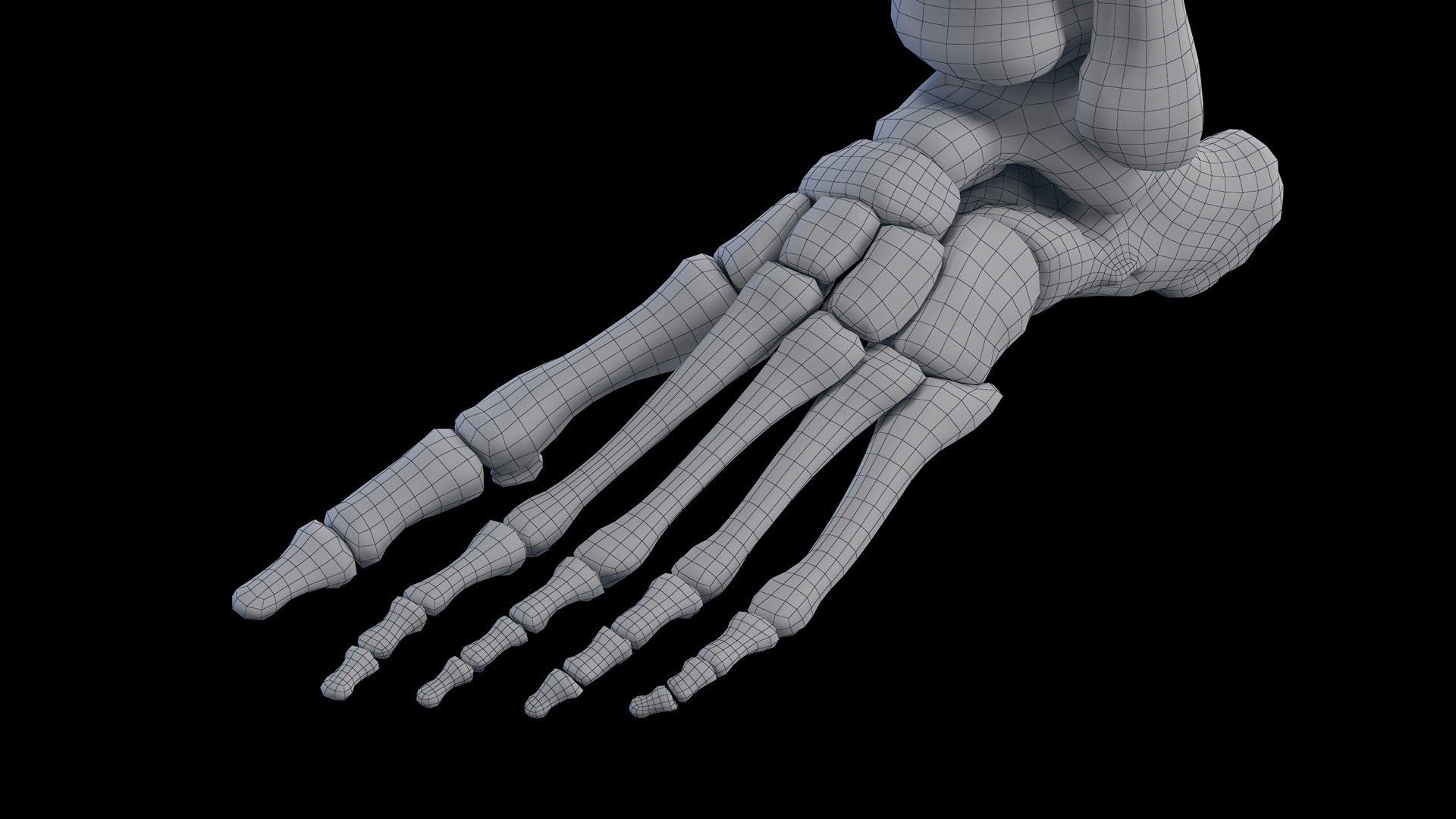 Human Male Body Skeleton and Organs Static 3D https://p.turbosquid.com/ts-thumb/4T/H8VRUv/k9/male_skeleton_wire0013/jpg/1680852491/1920x1080/fit_q87/0875f4fce5b511a121bfe65ca3526b94e1b00177/male_skeleton_wire0013.jpg