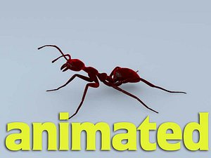 cinema4d ant character dynamic