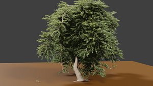 3D WILLOW TREE