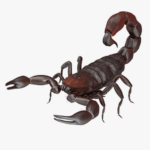 3d model scorpion modeled