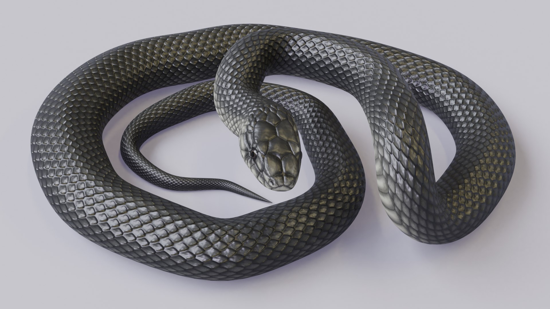 Black Mamba - Rigged 3D Model - TurboSquid 1753339