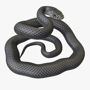 Black Mamba - Rigged