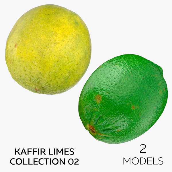 Kaffir Limes Collection 02 - 2 models 3D model