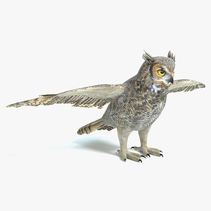 3D model great horned owl